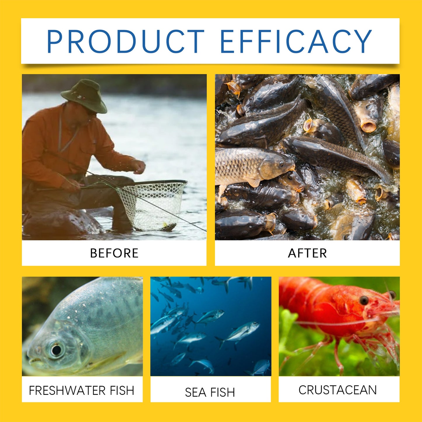Fishing Bait, Wild Fishing Bait