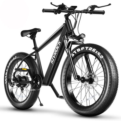 Professional Electric Mountain Bicycle