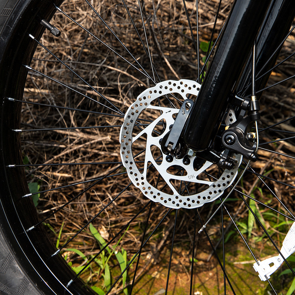 Professional Electric Mountain Bicycle